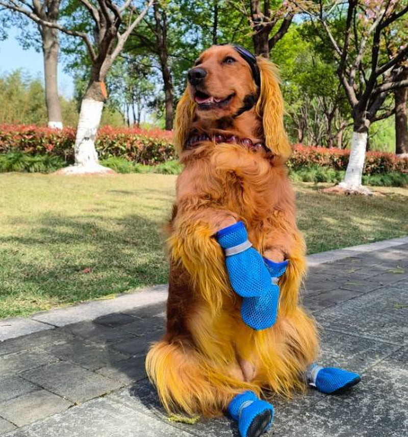 Petsafe Universal Dog Shoes Summer Anti-Slip Breathablewear-Resistant Soft Sole Puppy Foot Protector for Dailywalks